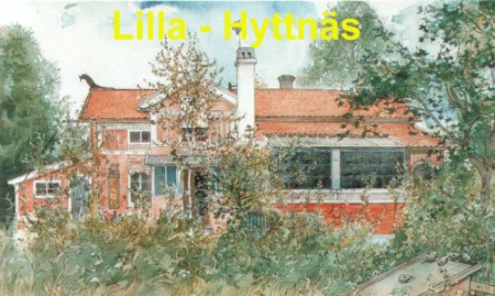 www.lilla-hyttnaes.de